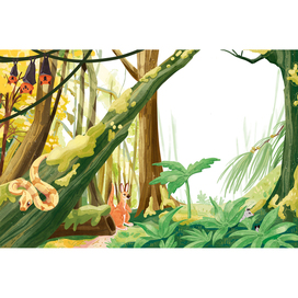 Книжный разворот. Эвкалиптовый лес.