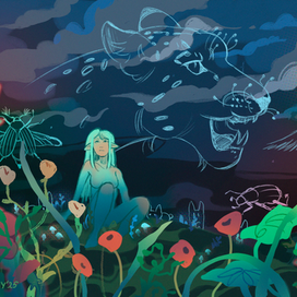 ночное созерцание