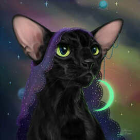 Аллегория ночи.