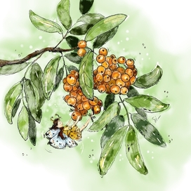 Ну отрывайся же!