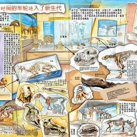 Для китайского издательства