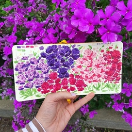 Скетч флоксы