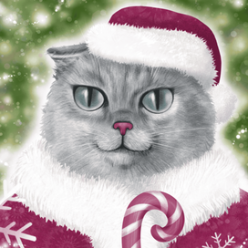 Кошачий Санта