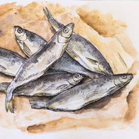 Закуска к холодному пиву