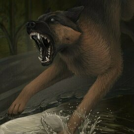 Иллюстрация к фильму "Я-Легенда"