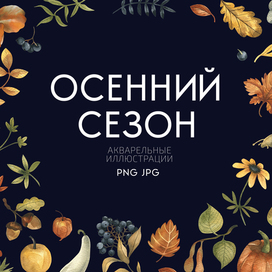 Готовые иллюстрации. Осень