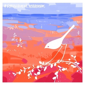 трясогузка в тундре