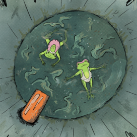 Лянушки и таинственный бассейн