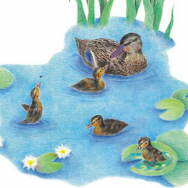 Иллюстрация к стихотворению А. Барто "Ути-ути"