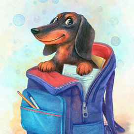 такса первоклассника