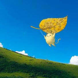 Полёт барабашки