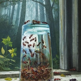 Битва красных и черных