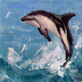 Дельфин