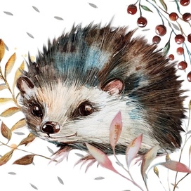 Осень, ежик