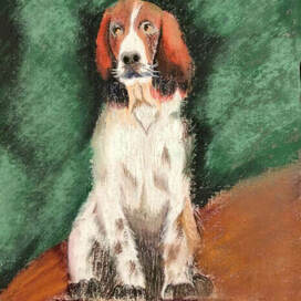 Топ. Таинственный остров. Жюль Верн.