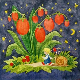 Ночное путешествие 