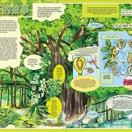 Иллюстрация для китайского издательства