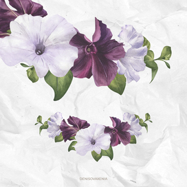 Петуния. Садовые цветы.