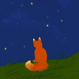 Лис и звёзды 