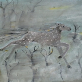 Дух морозного ноября 