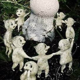 Барабашки празднуют грибной дождь