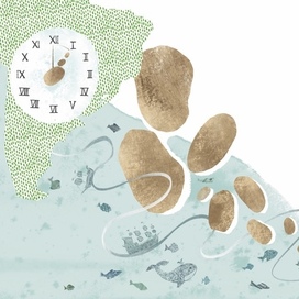 Истрия картошки