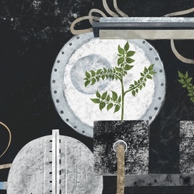 Выращивание в космосе