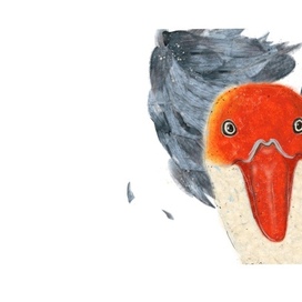 Чайка Апельсинка