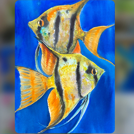 Тропические рыбки