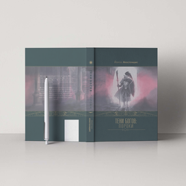 Разработка обложки для романа Тени Богов :Пороки 