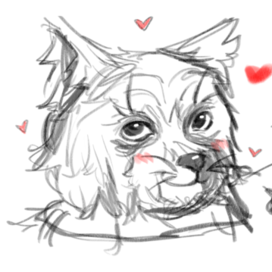 Милые животные