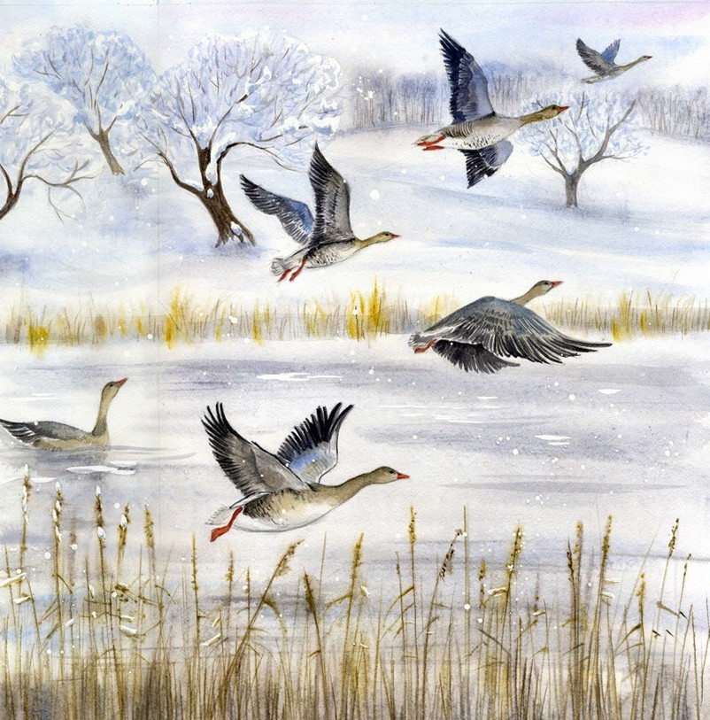 Иллюстрация к сборнику стихов "Времена года" изд-ва "Мозаичный парк"