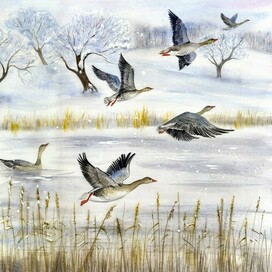 Иллюстрация к сборнику стихов "Времена года" изд-ва "Мозаичный парк"