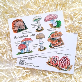 Авторская открытка "Несъедобные грибы"