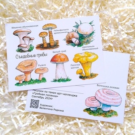 Авторская открытка "Съедобные грибы"