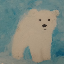 Мишка на севере