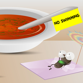 "no swimming",ироничная илюстрация на тему мухе в супе