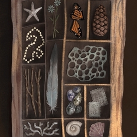 Шкатулочка с редкостями