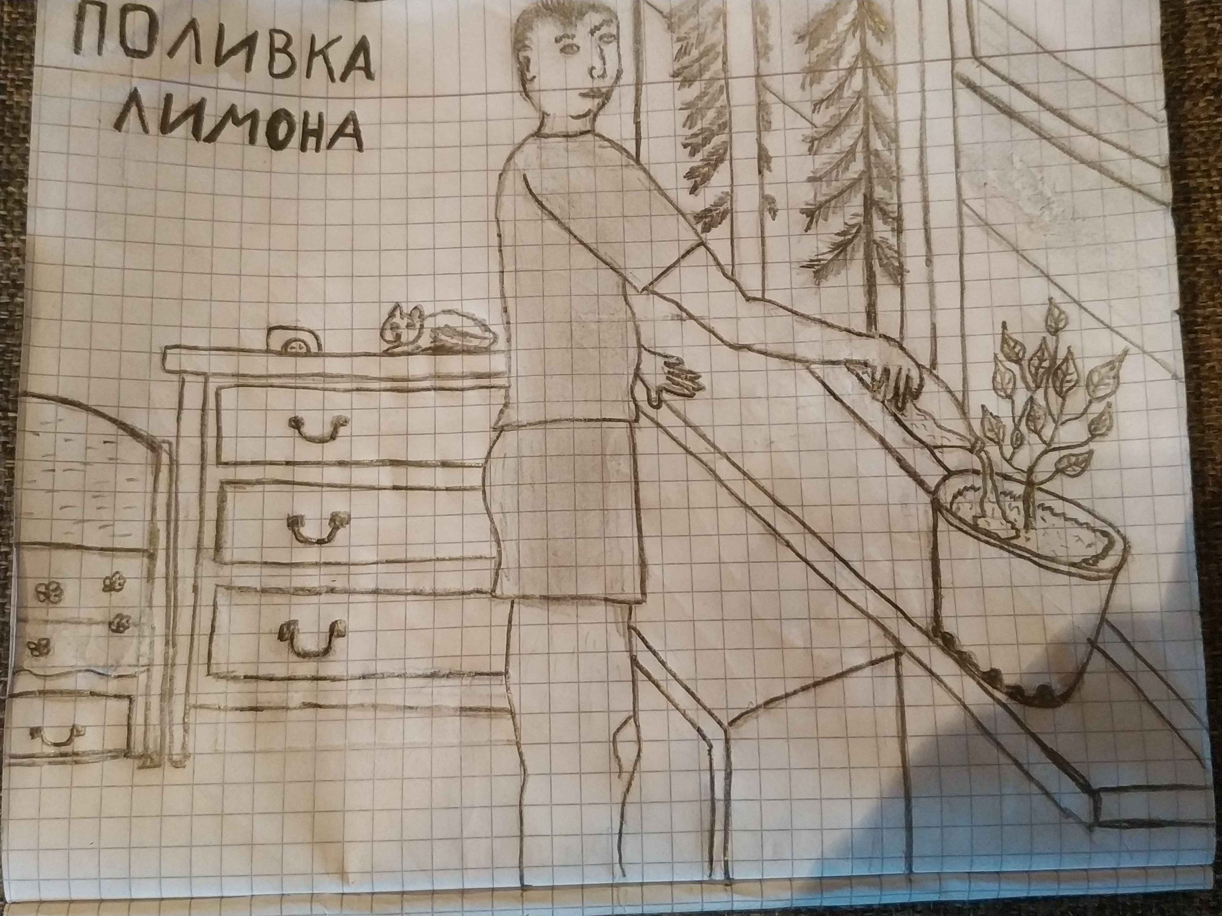 Поливка Лимона