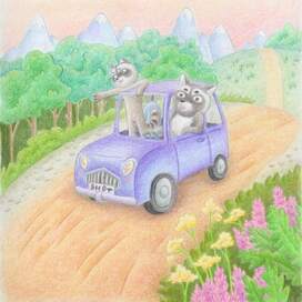 Поездка енотов