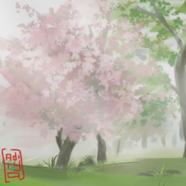 Сакура в туманный день 