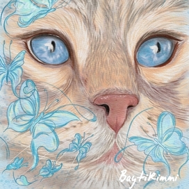 "В бабочках"