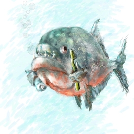 С заботой о Вас!