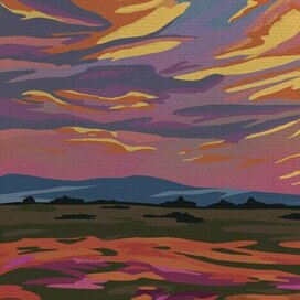 Закат над цветочным полем