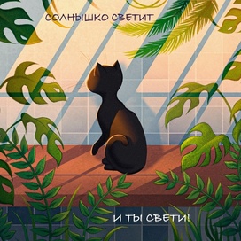 котик среди растений