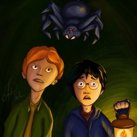 Следуйте за пауками