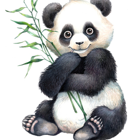 Панда Катюша.