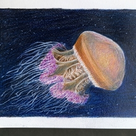 Медуза ракета