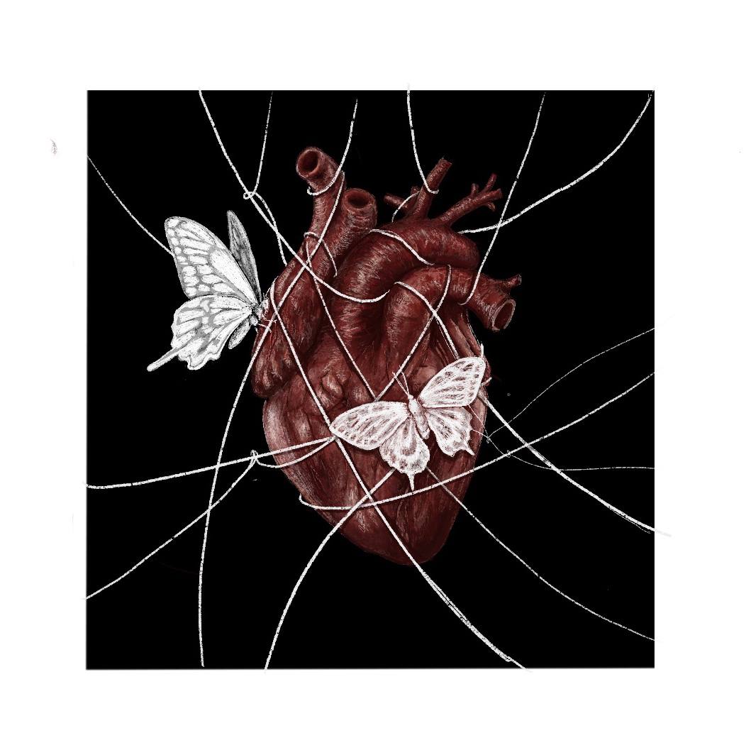 "Там, где обитают бабочки" (иллюстрация №2)