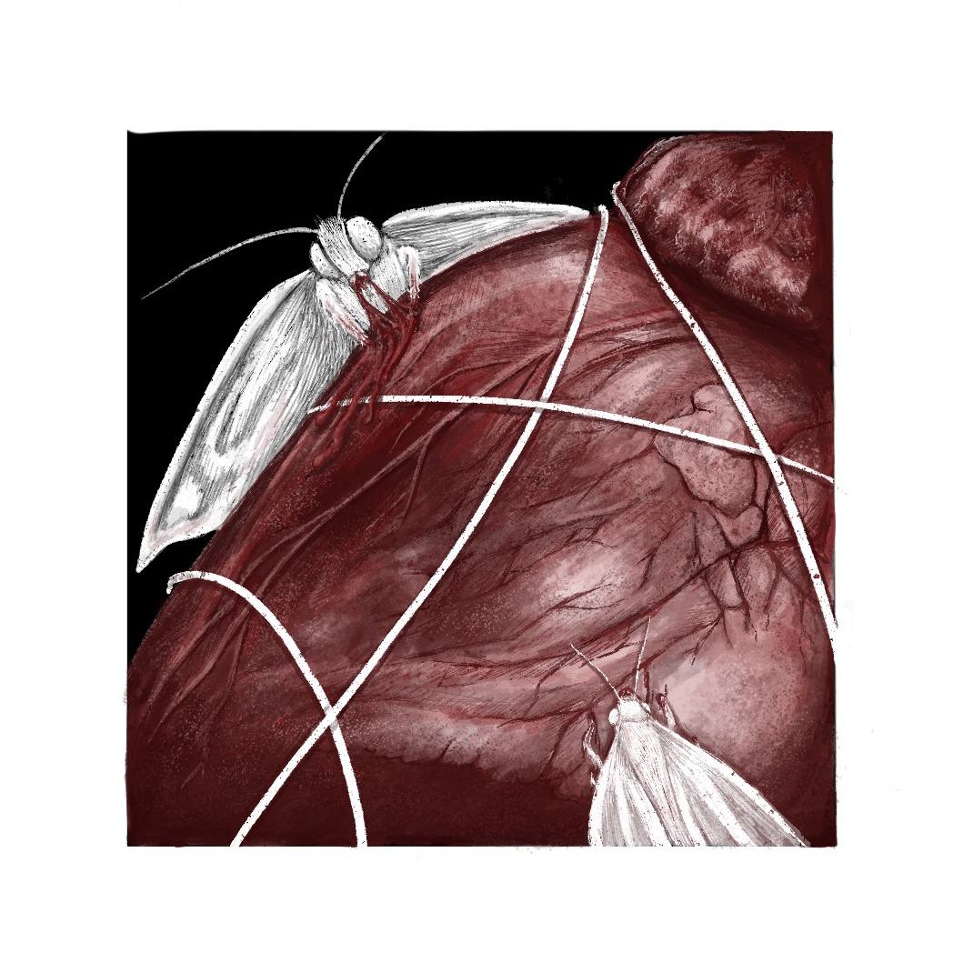 "Там, где обитают бабочки" (иллюстрация №3)
